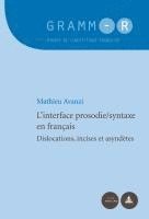Mathieu Avanzi - L'interface prosodie syntaxe en français, Häftad