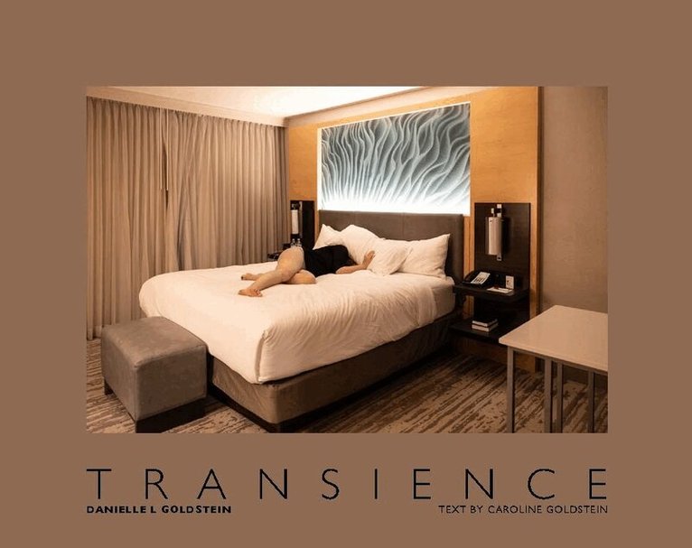 Danielle L. Goldstein: Transience, Inbunden