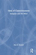 Idea of Consciousness