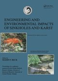 Engineering and Environmental Impacts of Sinkholes and Karts