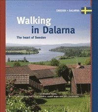 Walking in Dalarna