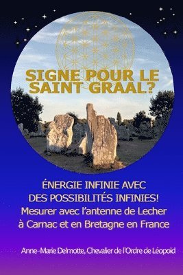 Anne-Marie Delmotte - SIGNE POUR LE SAINT GRAAL? ÉNERGIE INFINIE AVEC DES POSSIBILITÉS INFINIES! Mesurer avec l'antenne de Lecher à Carnac et en Bretagne en France, Häftad