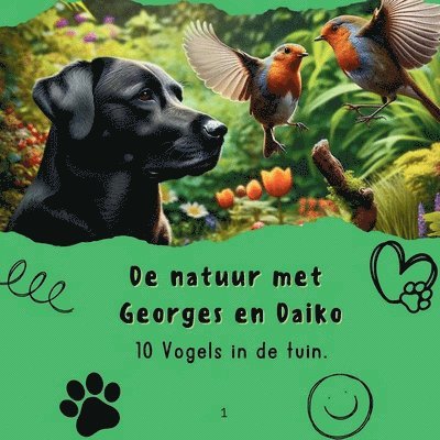 Eva Books - 10 Vogels in de tuin., Häftad. Tillgänglighet: Lägg i varukorg