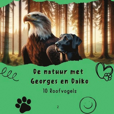 Eva Books - 10 Roofvogels., Häftad. Tillgänglighet: Lägg i varukorg