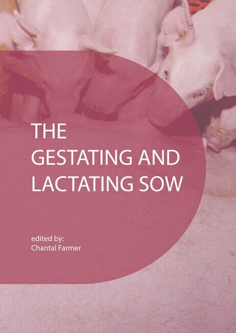 gestating and lactating sow
