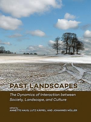 Annette Haug, Lutz Käppel, Johannes Müller - Past Landscapes, Häftad