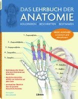 Kurt H. Albertine - Das Lehrbuch der Anatomie, Häftad