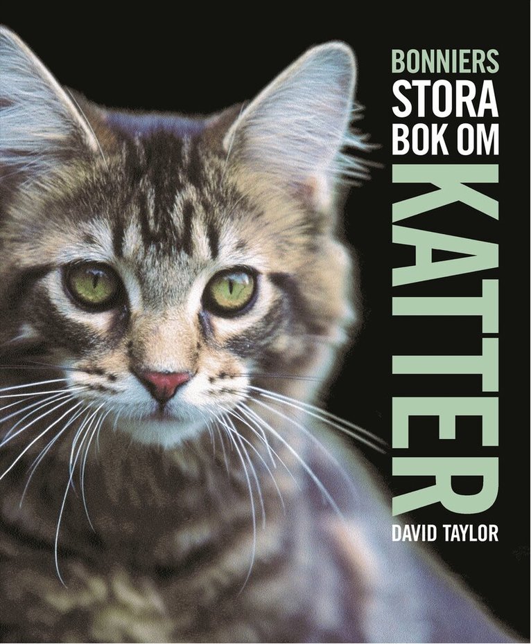 David Taylor - Bonniers stora bok om katter, Inbunden
