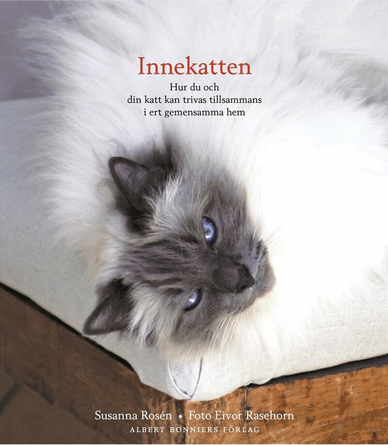 Susanna Rosén - Innekatten : hur du och din katt kan trivas tillsammans i ert gemensamma hem, Kartonnage