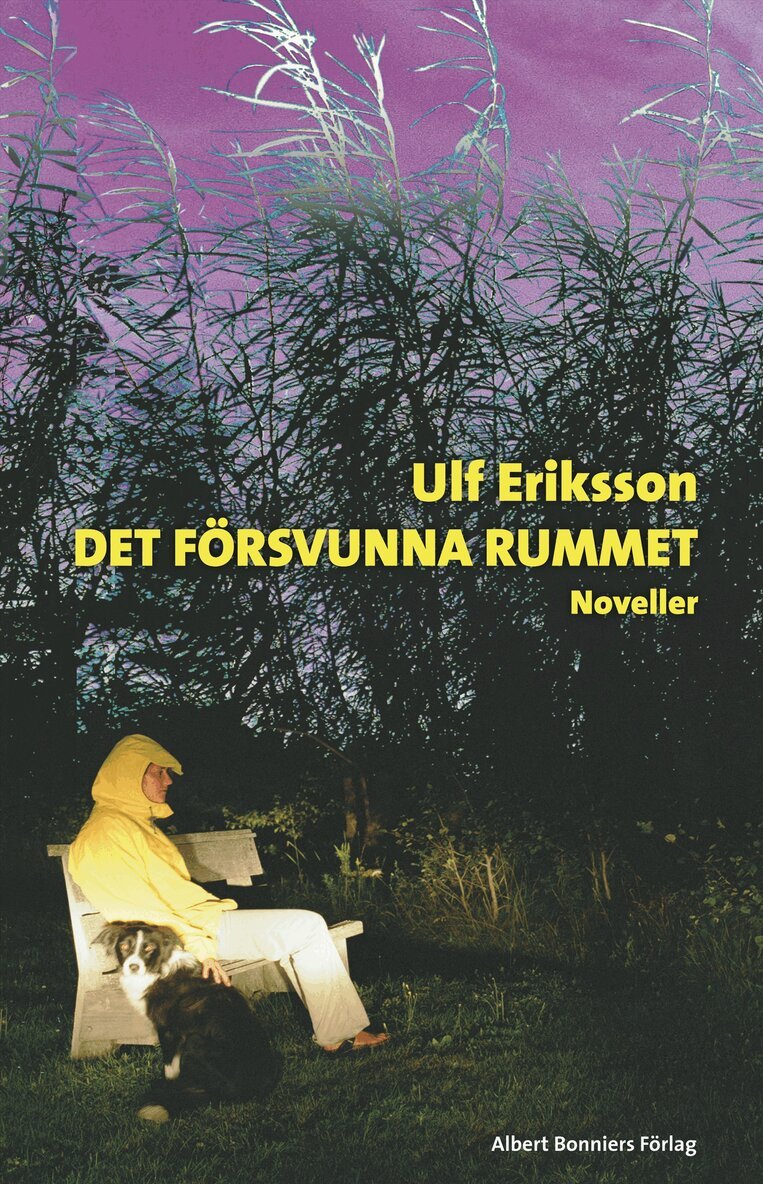 Ulf Eriksson - Det försvunna rummet : noveller, Inbunden