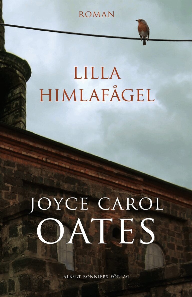 Joyce Carol Oates - Lilla himlafågel, Inbunden