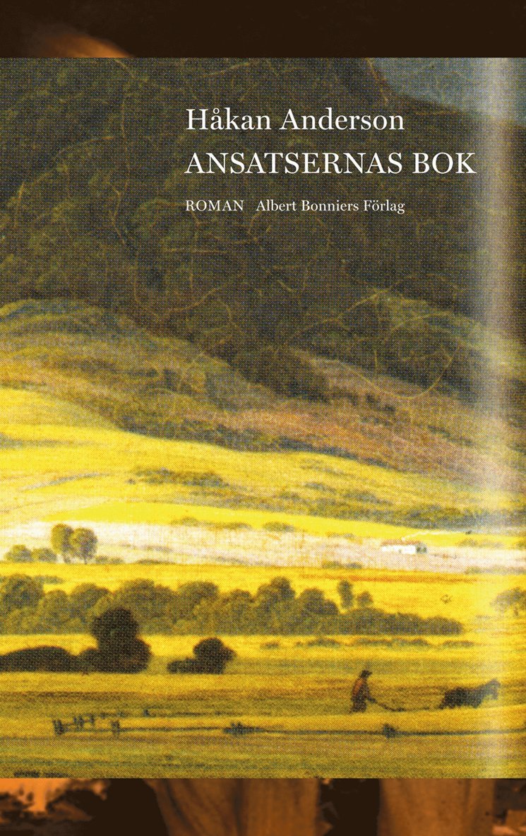 Håkan Anderson - Ansatsernas bok, E-bok