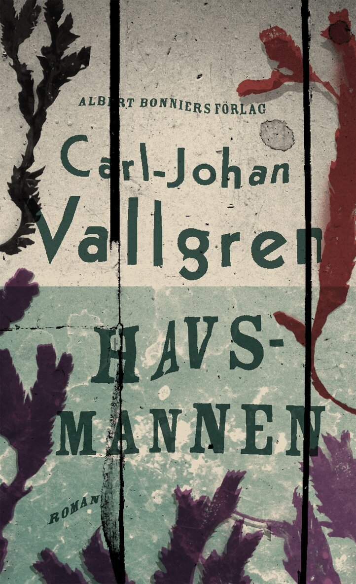 Carl-Johan Vallgren - Havsmannen, Inbunden