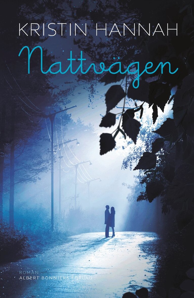 Kristin Hannah - Nattvägen, Inbunden