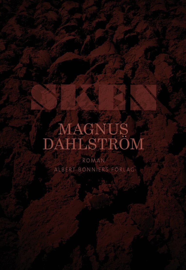 Magnus Dahlström - Sken, Inbunden