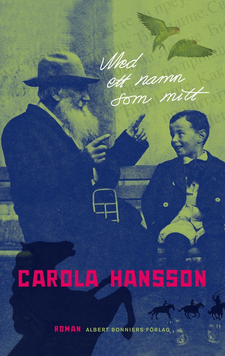 Carola Hansson - Med ett namn som mitt, E-bok