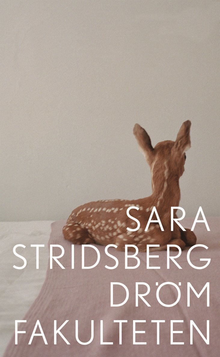 Sara Stridsberg - Drömfakulteten : - tillägg till sexualteorin, E-bok