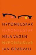 Nyponbuskar nyponbuskar hela vgen nyponbuskar