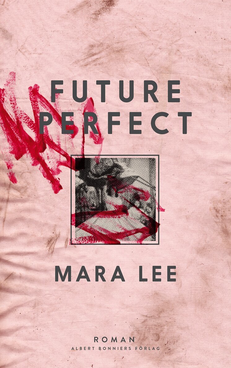 Mara Lee - Future perfect, E-bok