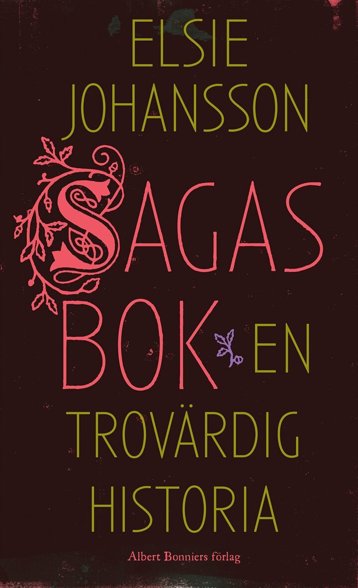 Elsie Johansson - Sagas bok : en trovärdig historia, Inbunden