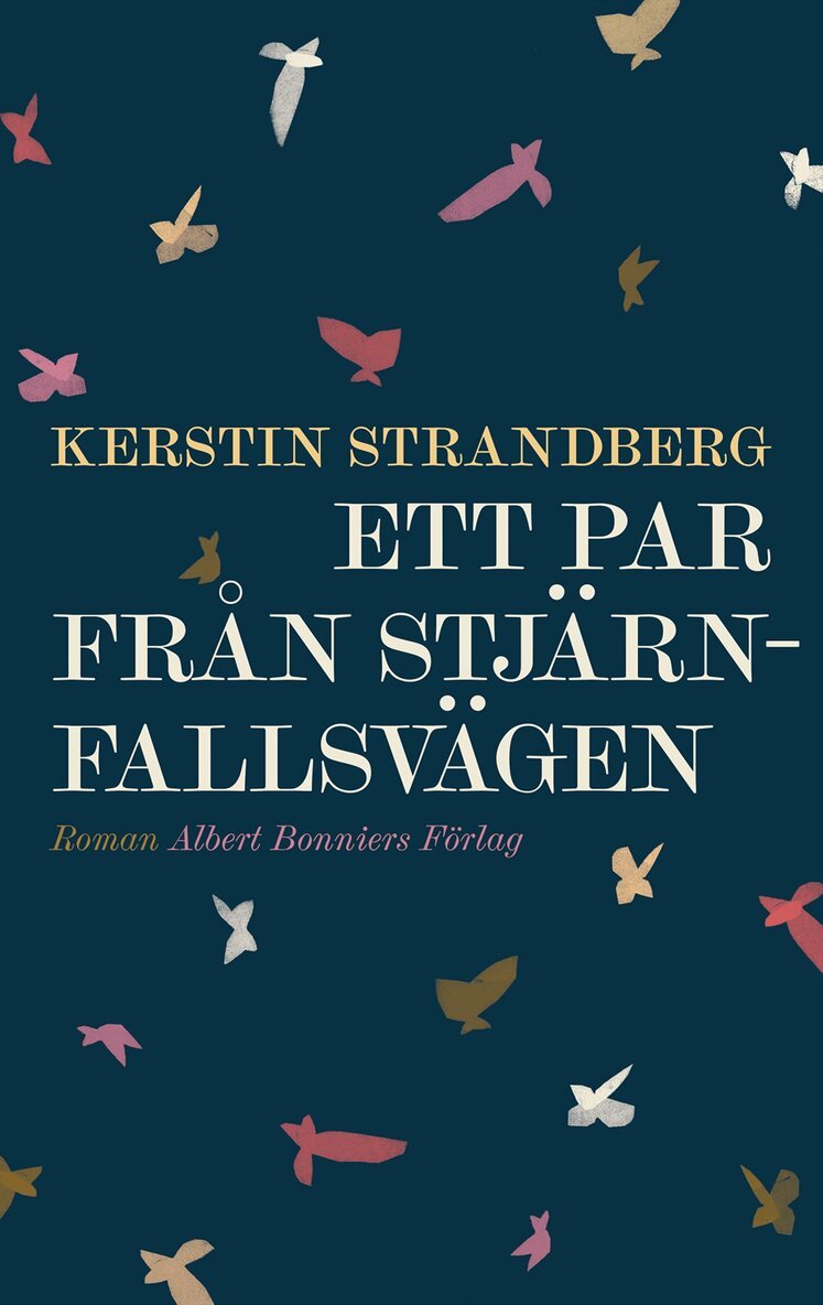 Kerstin Strandberg - Ett par från Stjärnfallsvägen, E-bok