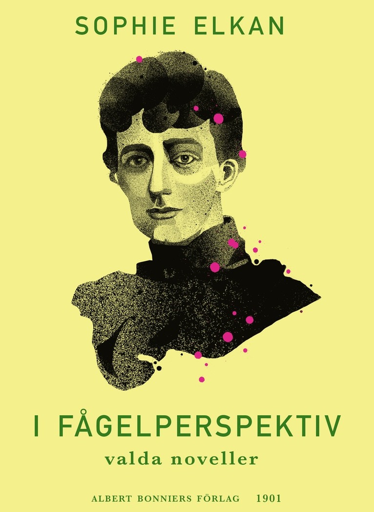 Sophie Elkan - I fågelperspektiv : valda noveller ur äldre samlingar av Sophie Elkan (Rust Roest), E-bok