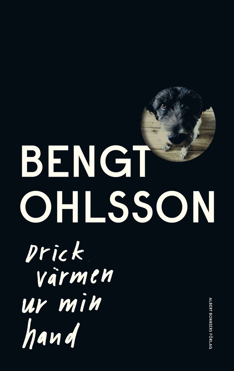 Bengt Ohlsson - Drick värmen ur min hand, E-bok