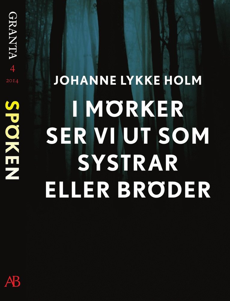 Johanne Lykke Naderehvandi - I mörker ser vi ut som systrar eller bröder: en e-singel ur Granta #4, E-bok