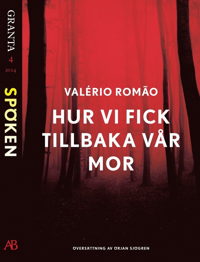Valerio Romão - Hur vi fick tillbaka vår mor: en e-singel ur Granta #4, E-bok