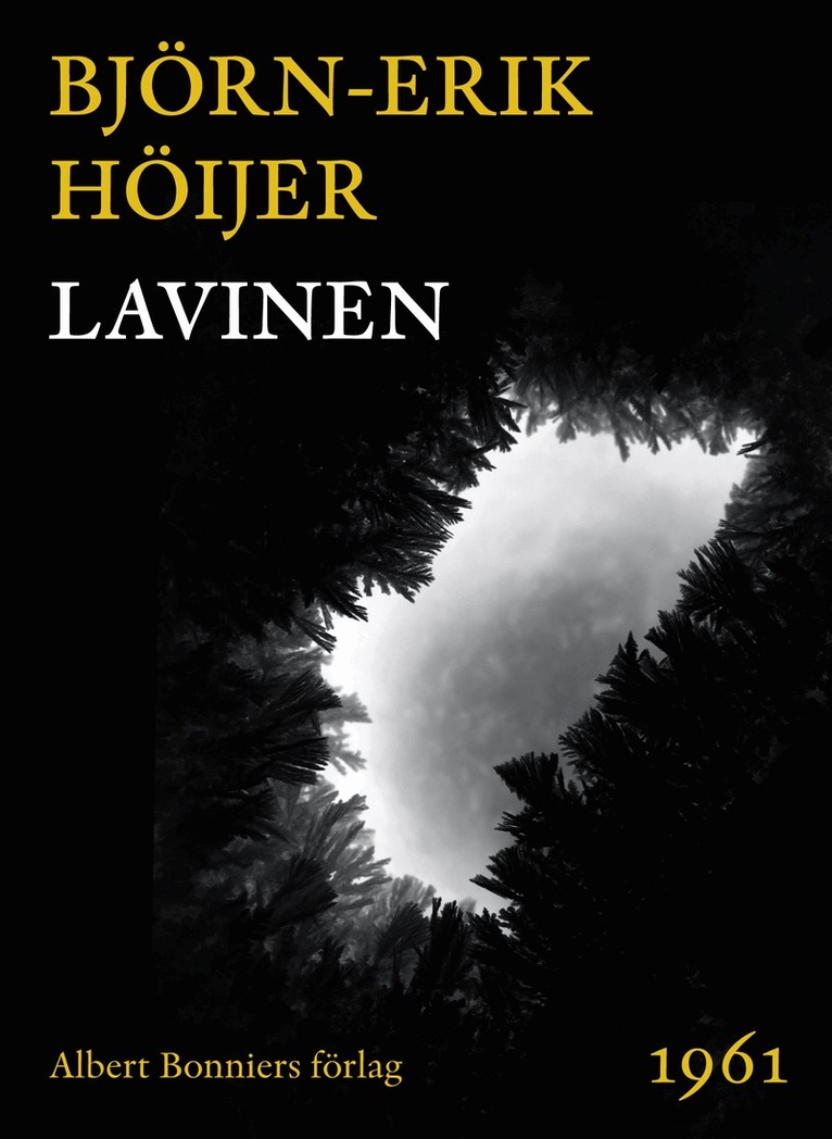 Björn-Erik Höijer - Lavinen, E-bok