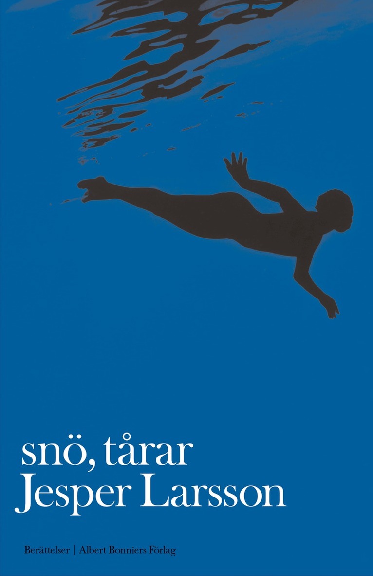 Jesper Larsson - Snö, tårar : berättelser, E-bok