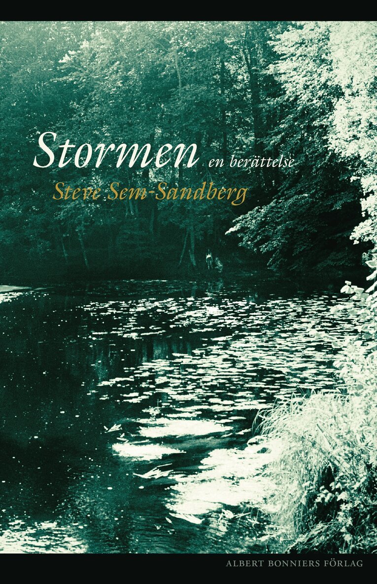 Steve Sem-Sandberg - Stormen : en berättelse, E-bok