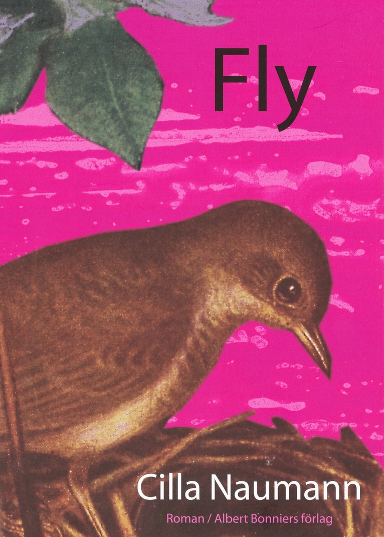 Cilla Naumann - Fly, E-bok