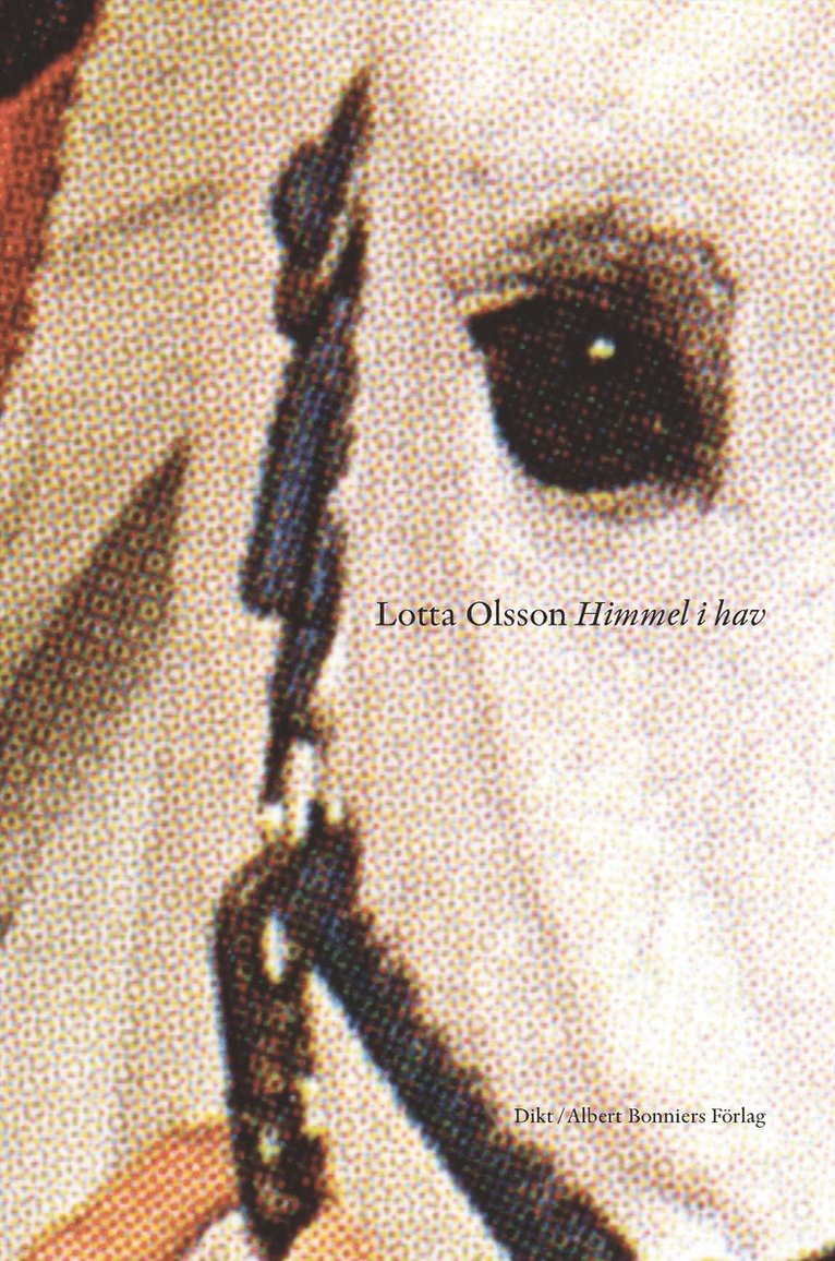 Lotta Olsson - Himmel i hav, E-bok