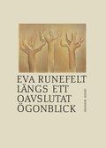 Lngs ett oavslutat gonblick : Dikter