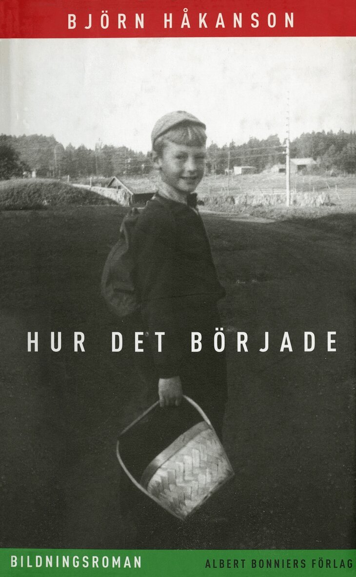 Björn Håkanson - Hur det började : bildningsroman, E-bok