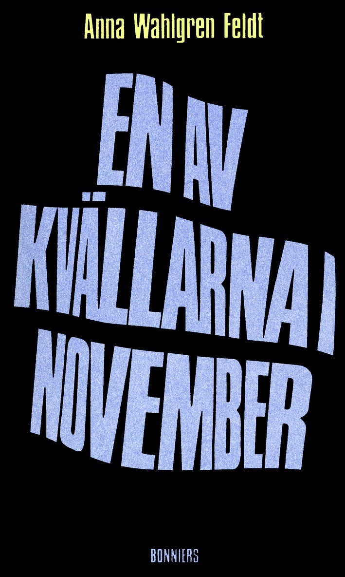 Anna Wahlgren - En av kvällarna i november : Noveller, E-bok