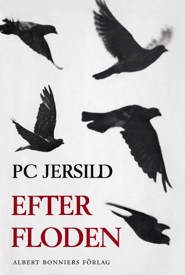 P. C. Jersild - Efter floden, E-bok