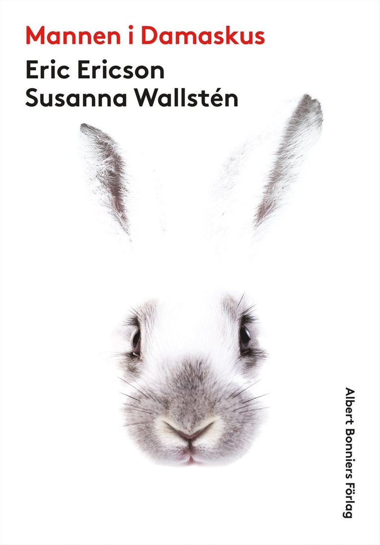 Eric Ericson, Susanna Wallstén - Mannen i Damaskus, E-bok