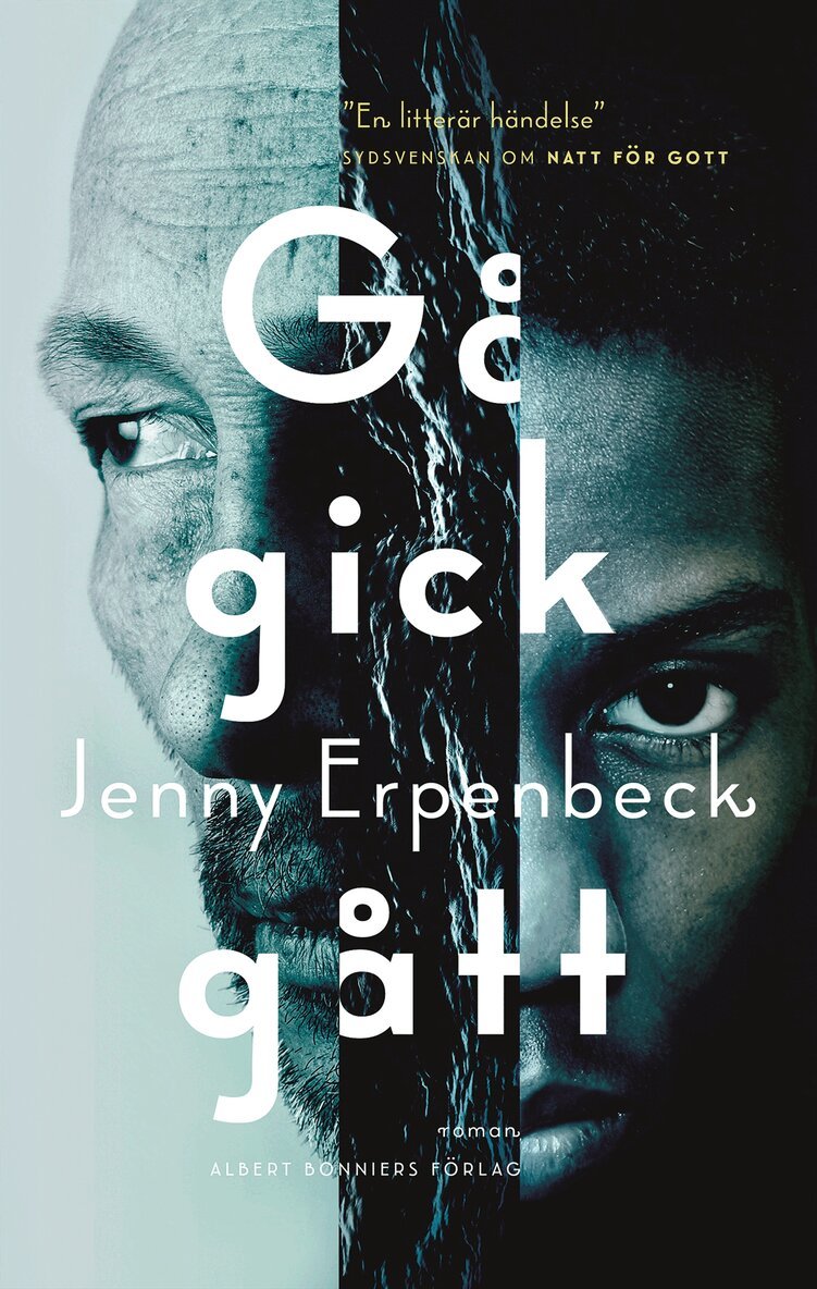 Jenny Erpenbeck - Gå, gick, gått, E-bok