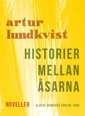 Historier mellan sarna : noveller