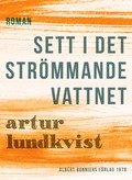 Sett i det strmmande vattnet