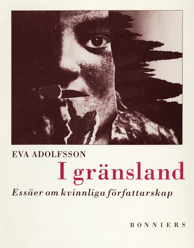 Eva Adolfsson - I gränsland : essäer om kvinnliga författarskap, E-bok