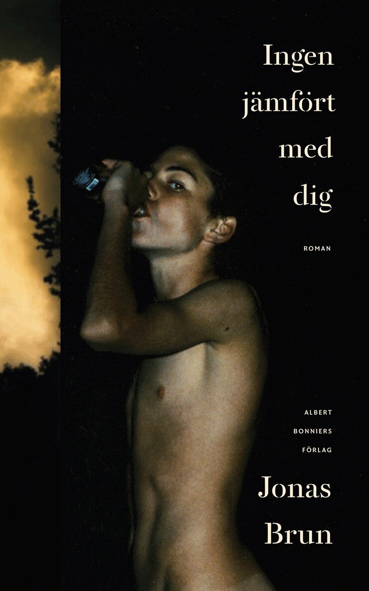 Jonas Brun - Ingen jämfört med dig, E-bok