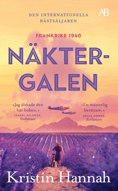Kristin Hannah - Näktergalen, E-bok