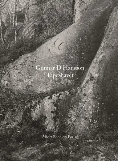 Gunnar D. Hansson - Tapeshavet, E-bok
