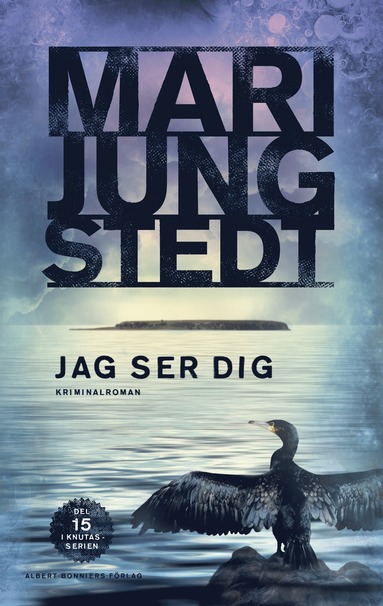 Mari Jungstedt Jag ser dig