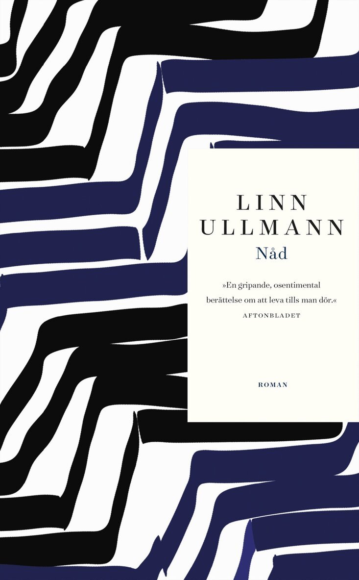 Linn Ullmann - Nåd, E-bok