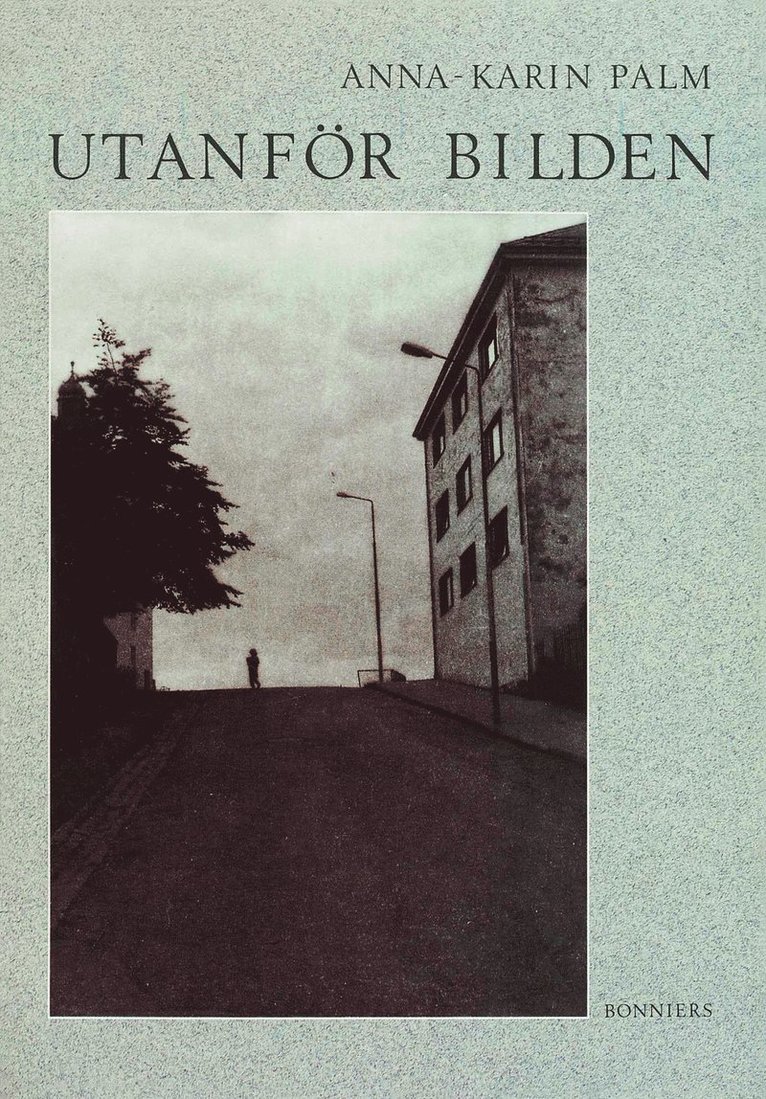 Anna-Karin Palm - Utanför bilden, E-bok