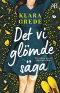 Det vi gl�mde s�ga